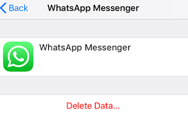 Löschen von iCloud WhatsApp-Sicherungsdaten