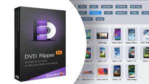 Laden Sie DVDs mit WonderFox DVD Ripper Pro auf Vimeo hoch